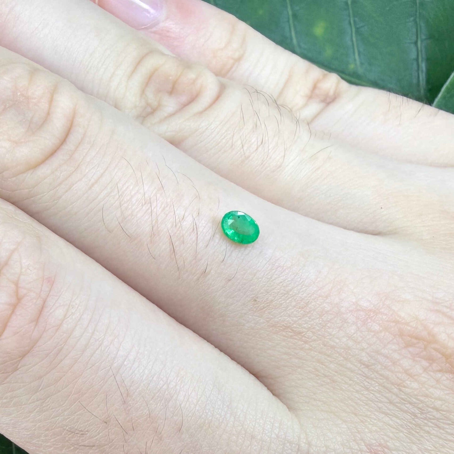 0.2 ct natural untreated Zambian emerald, oval faceted with vivid bluish-green color.