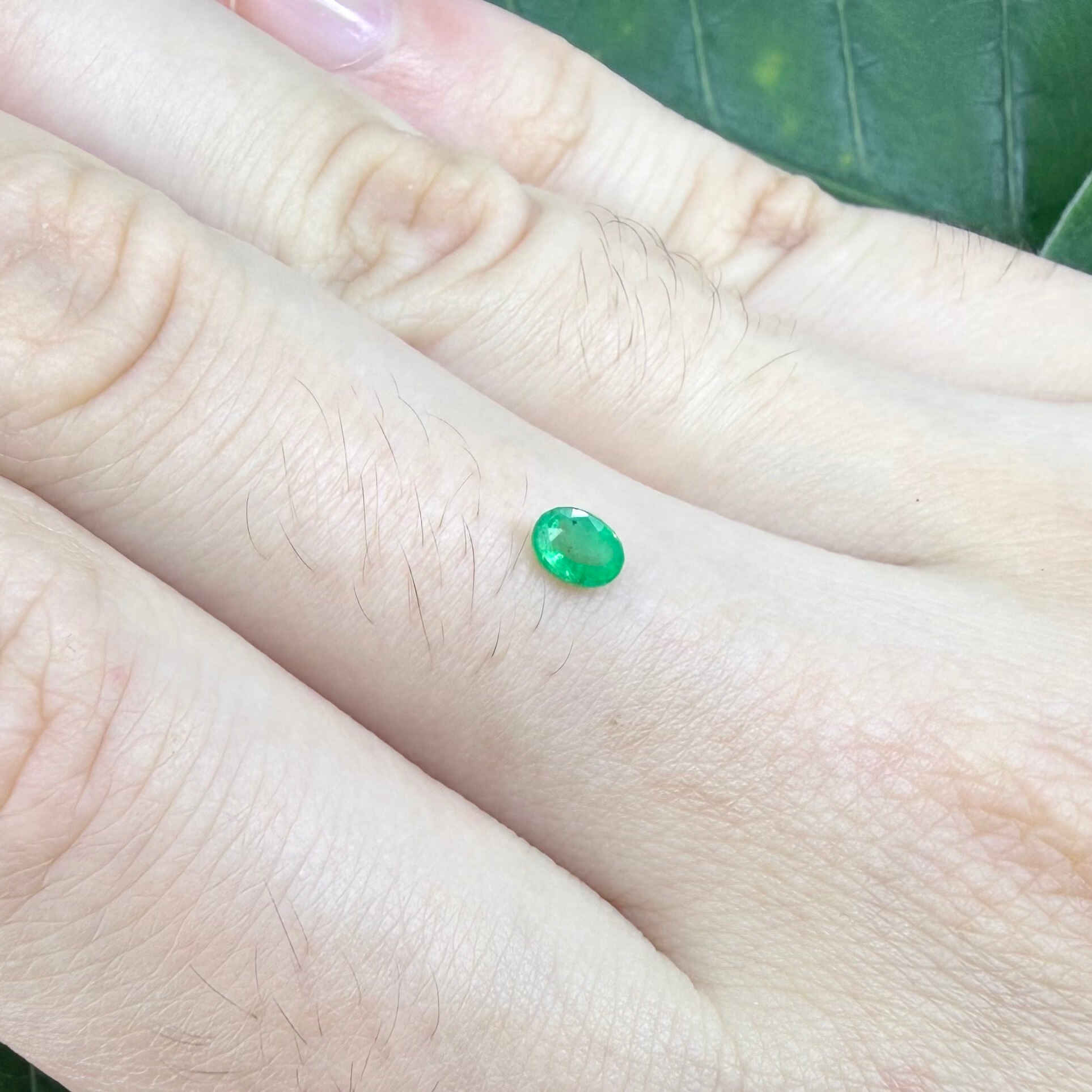 0.2 ct natural untreated Zambian emerald, oval faceted with vivid bluish-green color.