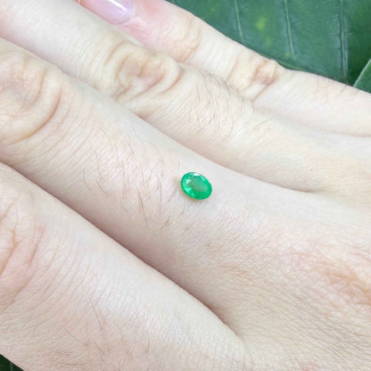 0.2 ct natural untreated Zambian emerald, oval faceted with vivid bluish-green color.