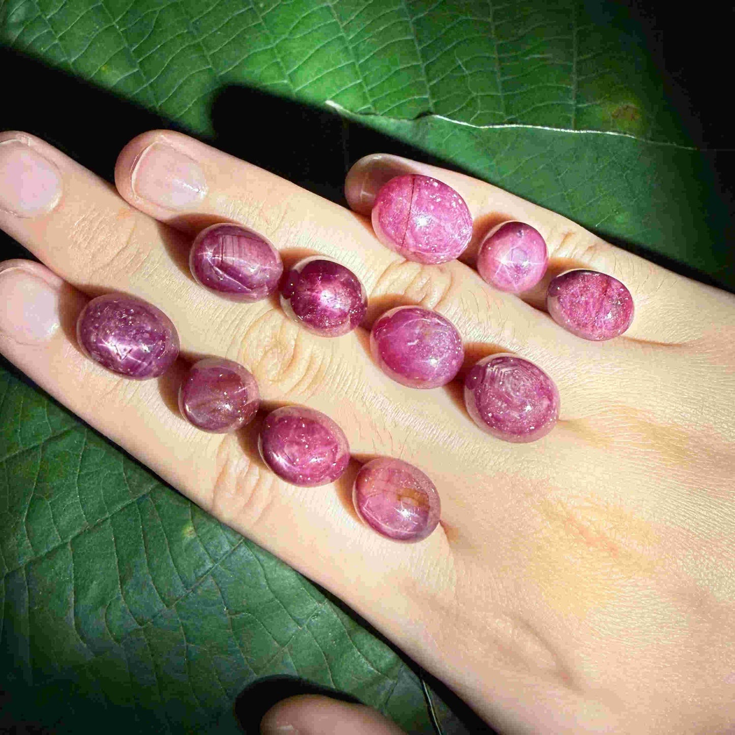 346.8 ct natural Star Ruby lot from Madagascar featuring multiple polished cabochons with soft star effects.