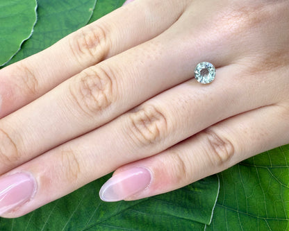 Prasiolite Round 0.99 Ct