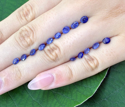 Blue Sapphire Lot Oval 6.22 Ct