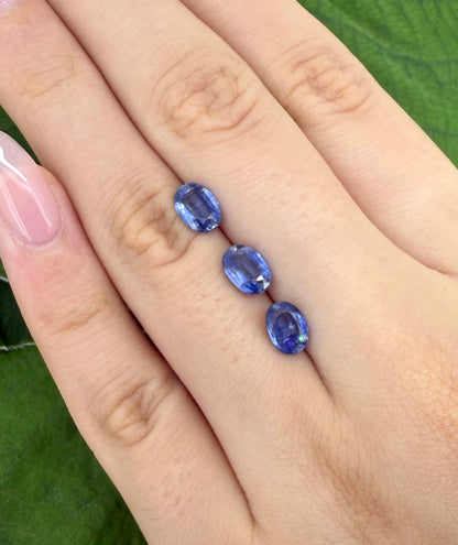 Cornflower Blue Kyanite Oval Set 2.73 Ct