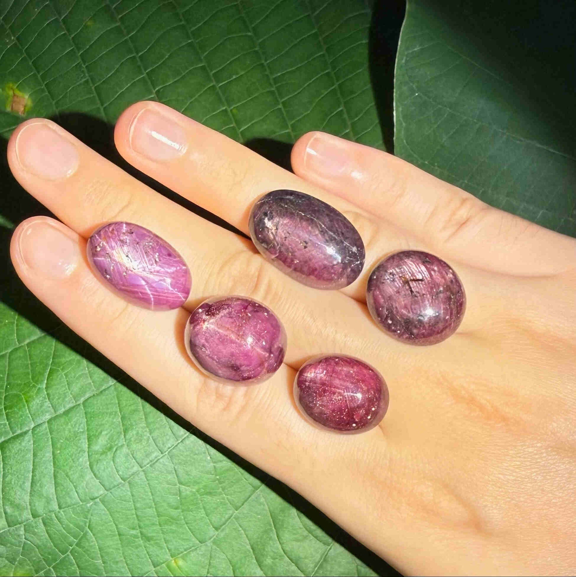 150.4 ct natural Star Ruby lot from Madagascar with polished cabochons and soft star effects.