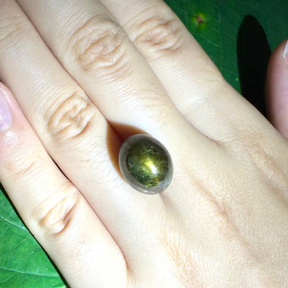 Golden-brown star sapphire cabochon, natural gemstone with subtle asterism