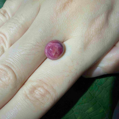 6.36 ct natural pink Star Ruby cabochon with soft star effect and polished dome.