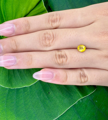 Yellow Sapphire Oval 1.06 Ct