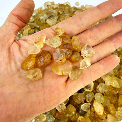 Natural champagne-gold topaz rough with warm golden tones, uncut and untreated, photographed on neutral background.