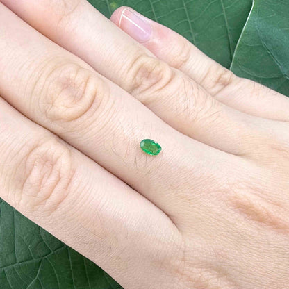 0.16 ct natural untreated Zambian emerald, oval faceted with bright bluish-green color.