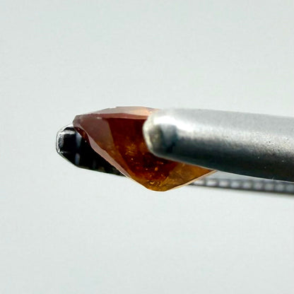 Hessonite Set Oval 1.4 Ct