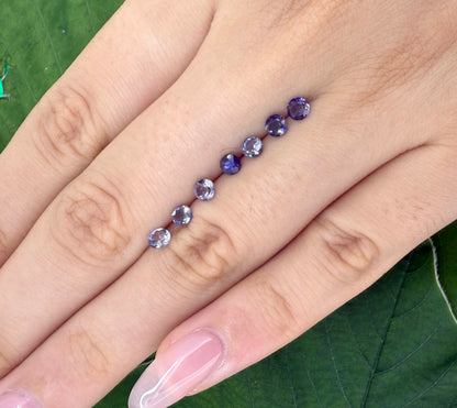 Violet Hues Iolite Lot Round 0.97 Ct