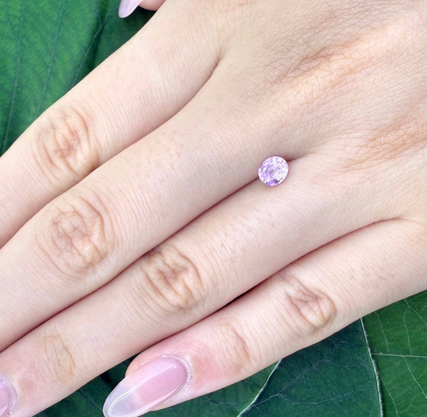 Pink Sapphire Oval 0.55 Ct