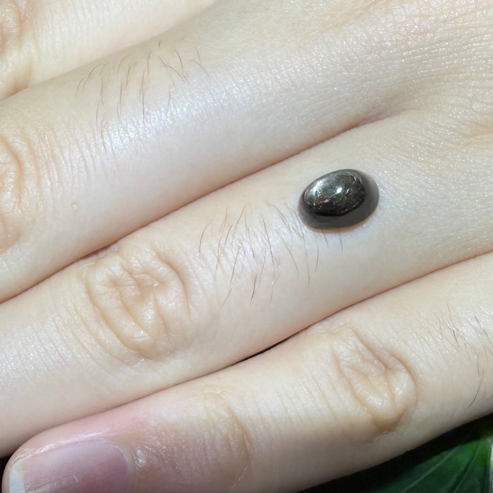 Golden-brown star sapphire cabochon, natural gemstone with subtle asterism