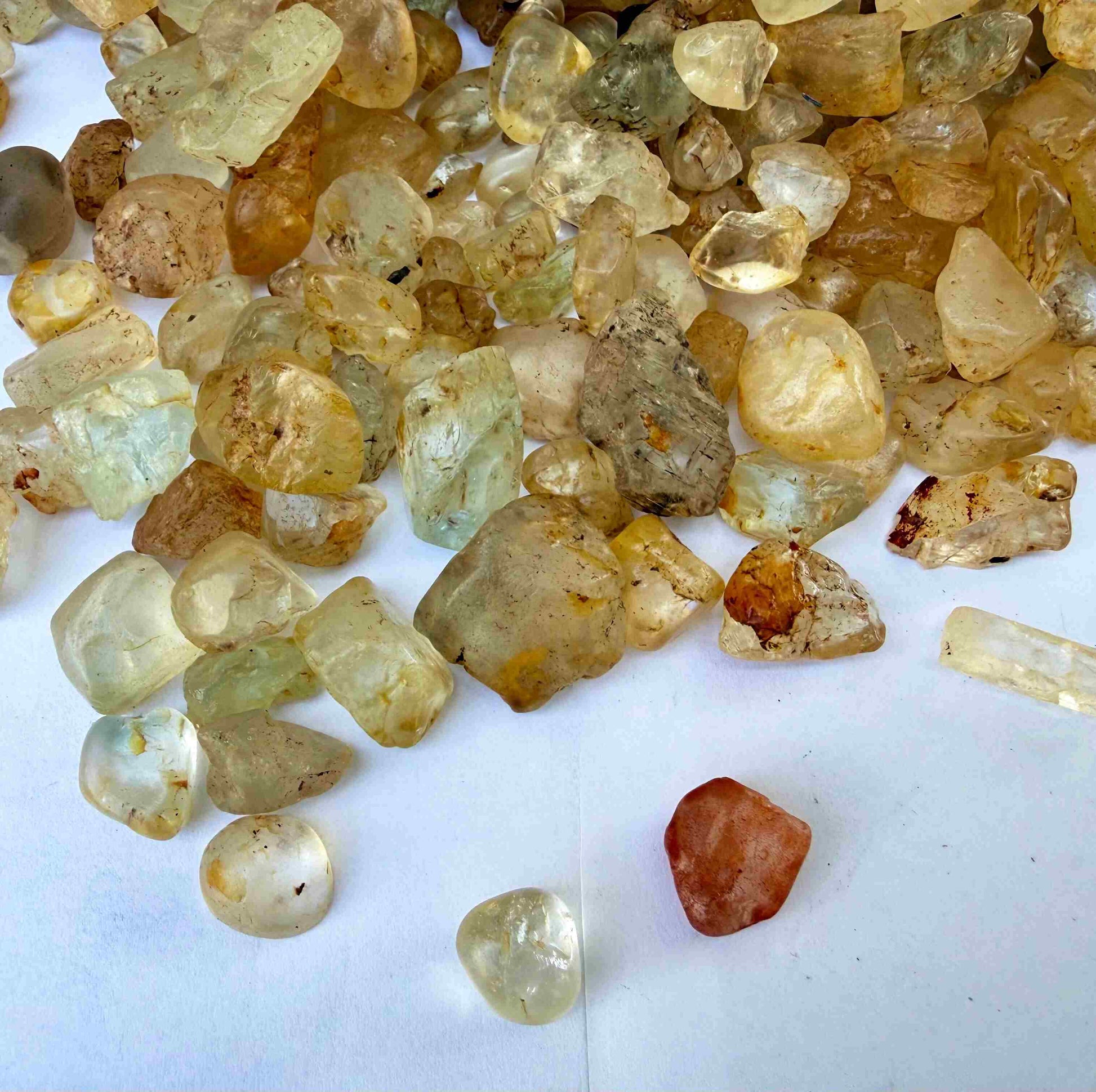 Natural champagne-gold topaz rough with warm golden tones, uncut and untreated, photographed on neutral background.