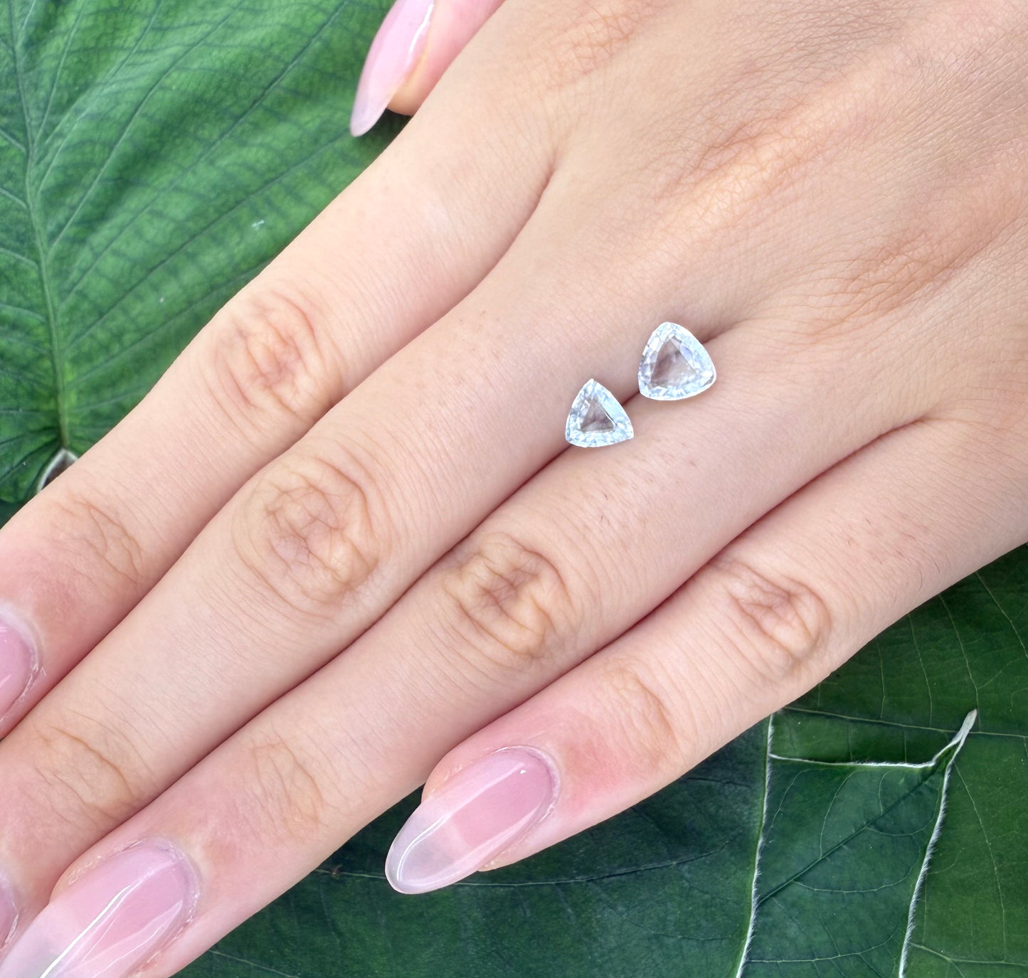 White Blue Aquamarine Set Trillion 1.36 Ct