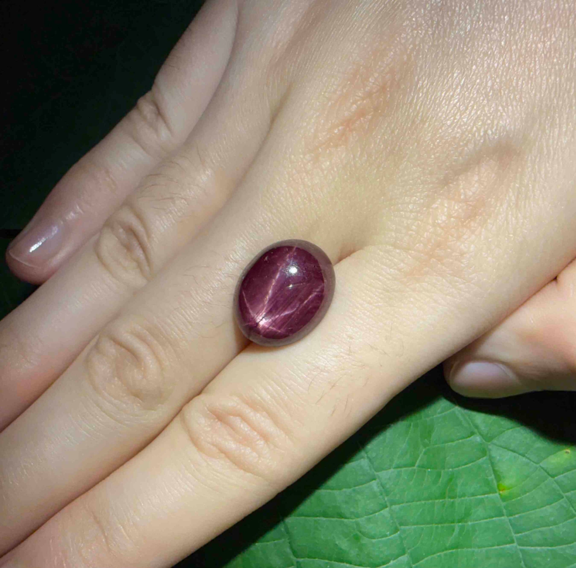 16.7 ct natural Bordeaux-Red Star Ruby cabochon from Mozambique with soft star effect and polished dome.