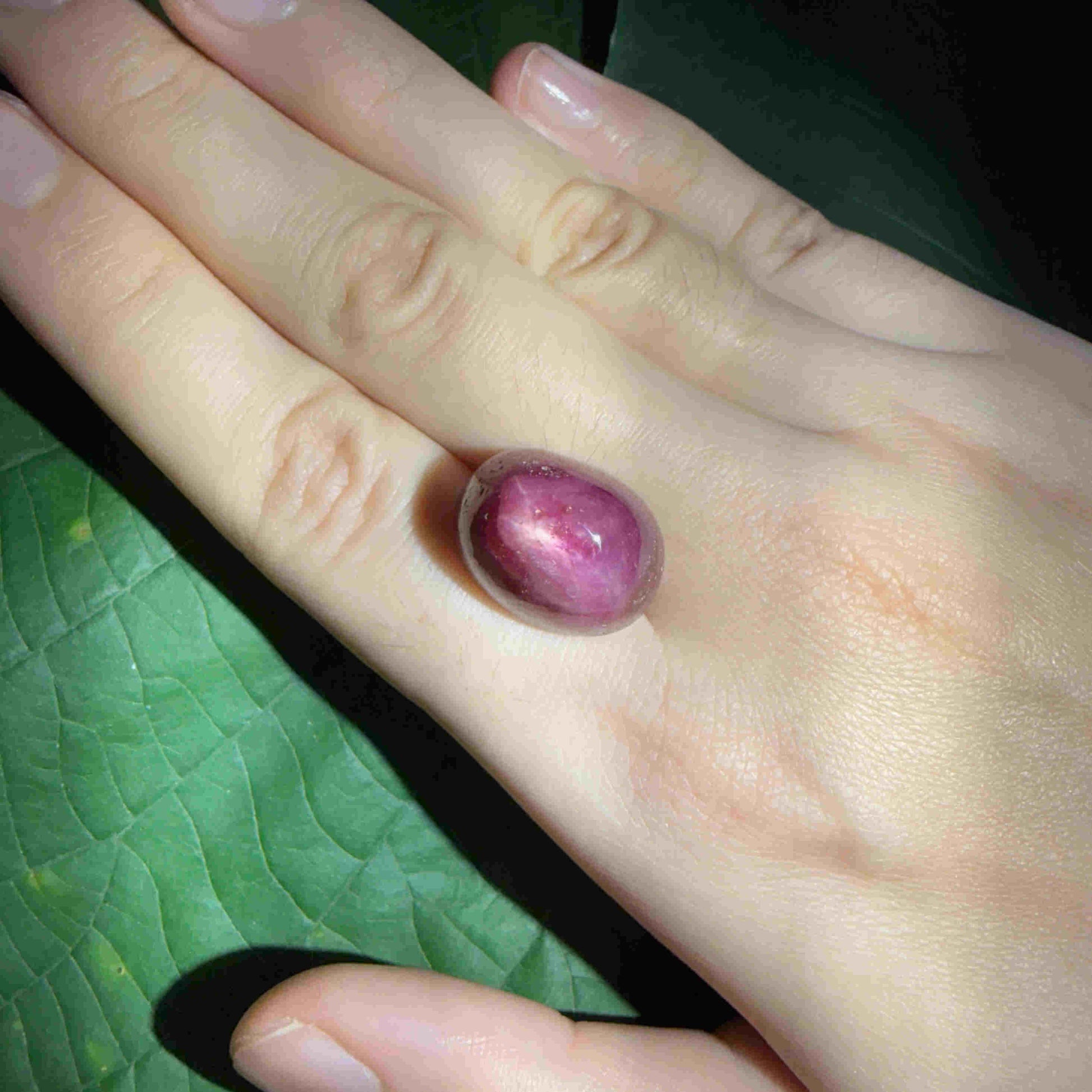 36.1 ct natural Pink-Red Star Ruby cabochon from Mozambique with soft star effect and polished dome.