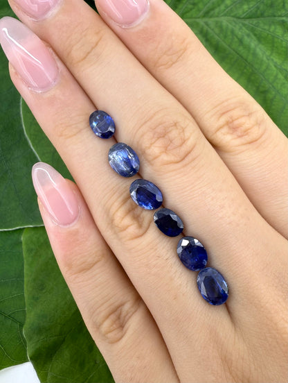 Royal Blue Kyanite Lot Oval 9.97 Ct
