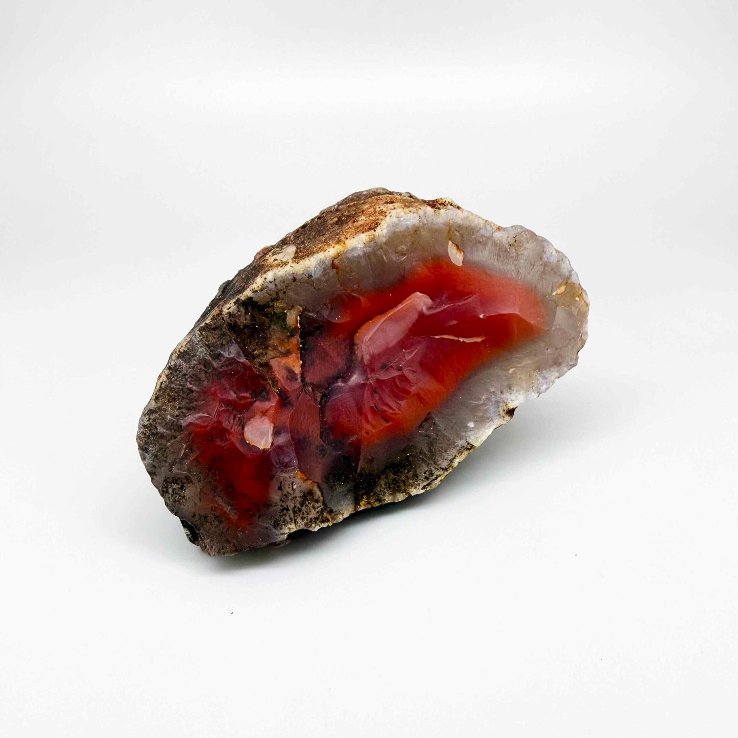 Chalcedony agate rough stone with bright orange-red carnelian core and white outer banding.