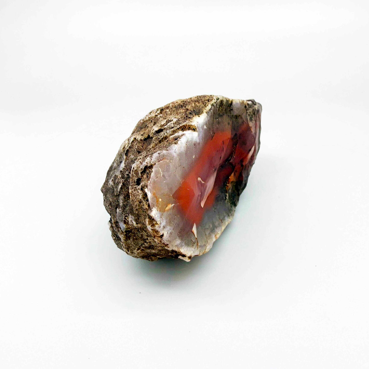 Chalcedony agate rough stone with bright orange-red carnelian core and white outer banding.