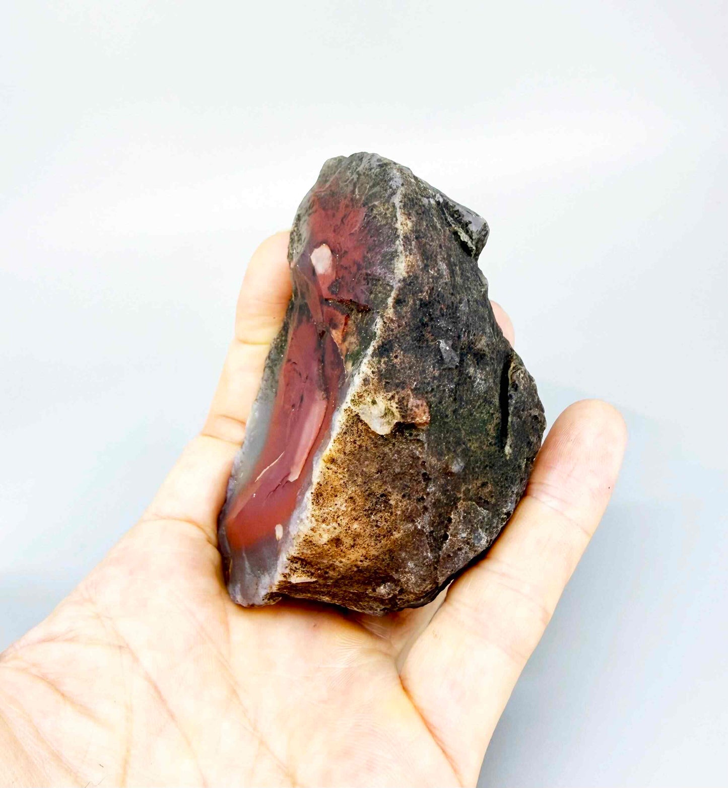 Chalcedony agate rough stone with bright orange-red carnelian core and white outer banding.