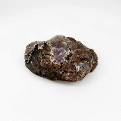 Chalcedony agate rough stone with bright orange-red carnelian core and white outer banding.