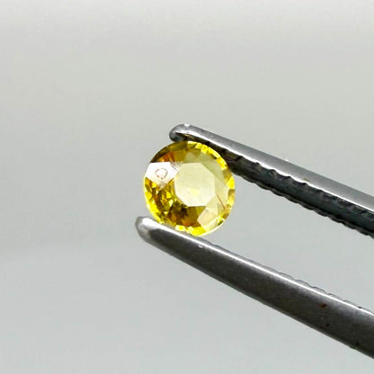 Round golden yellow sapphire from Bangkaja, Thailand with warm natural color and lively brilliance.