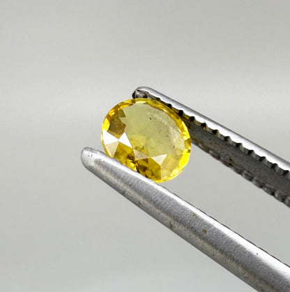 Round golden yellow sapphire from Bangkaja, Thailand with bright natural color and lively brilliance.