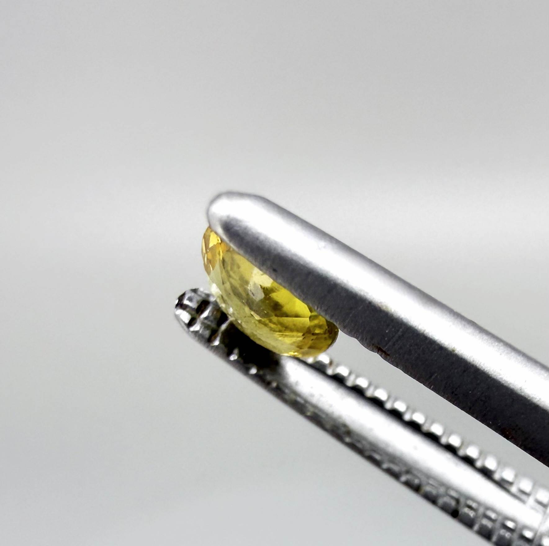 Round golden yellow sapphire from Bangkaja, Thailand with bright natural color and lively brilliance.