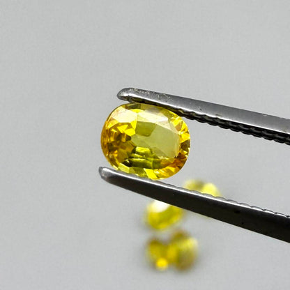 Yellow sapphire parcel in oval cuts from Bangkaja, Thailand showing lemon, golden and orangey tones with bright natural brilliance.