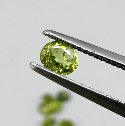 Green sapphire parcel in oval cuts from Bangkaja, Thailand showing yellowish-green to olive tones with natural brilliance.