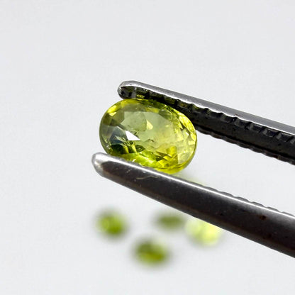 Green sapphire parcel in oval cuts from Bangkaja, Thailand showing yellowish-green to olive tones with natural brilliance.