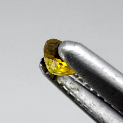 Round rich golden yellow sapphire from Bangkaja, Thailand with warm tone and strong natural brilliance.