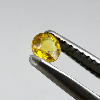 Round rich golden yellow sapphire from Bangkaja, Thailand with warm tone and strong natural brilliance.