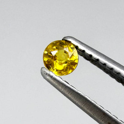 Round rich golden yellow sapphire from Bangkaja, Thailand with warm tone and strong natural brilliance.