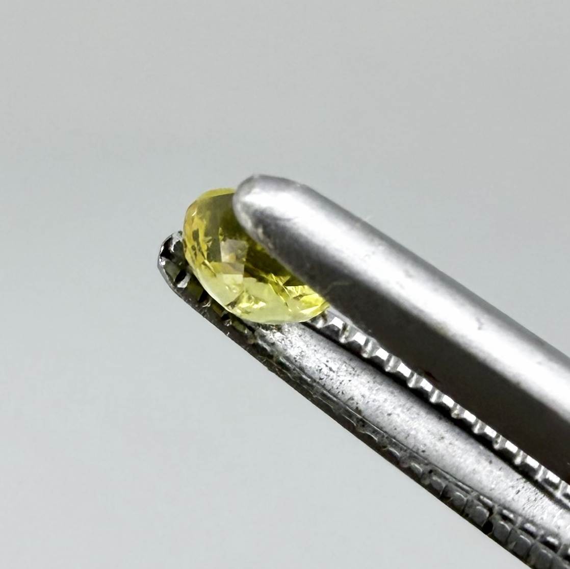 Round light lemon yellow sapphire from Bangkaja, Thailand with delicate bright color and clean natural brilliance.