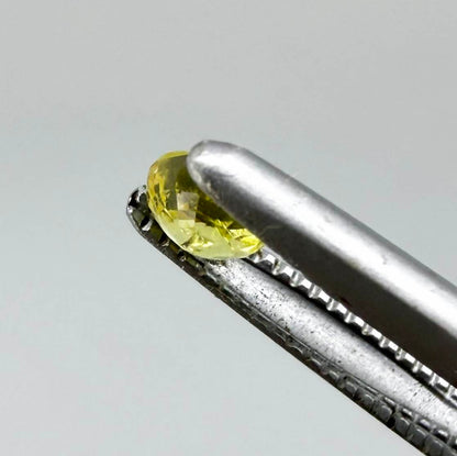 Round light lemon yellow sapphire from Bangkaja, Thailand with delicate bright color and clean natural brilliance.