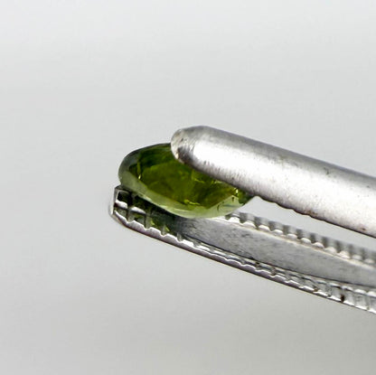 Oval green sapphire from Thailand, 0.29ct, unheated, with fresh olive-green color, eye-clean clarity and a transparent appearance.