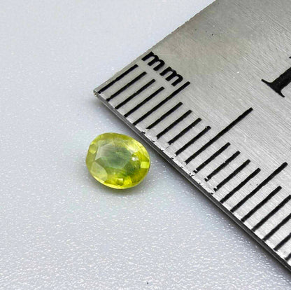 Oval greenish yellow sapphire from Thailand, 0.35ct, unheated, with bright yellow-dominant color and green undertones, visible natural inclusions and a transparent to slightly silky appearance.