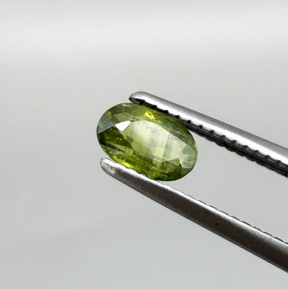 Oval green sapphire from Thailand, 0.35ct, unheated, with olive-green color, visible banding and color zoning, natural inclusions and a transparent to slightly silky appearance.