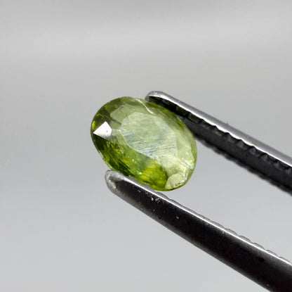 Oval light green sapphire from Thailand, 0.31ct, unheated, with fresh yellow-green color, visible natural inclusions and a transparent to slightly silky appearance.