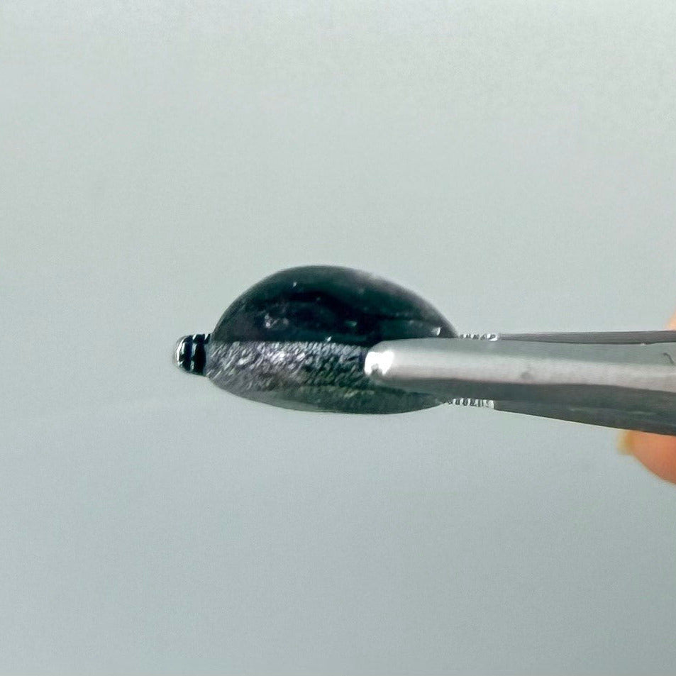 4.67 ct natural bordeaux-red Star Ruby cabochon with soft star effect and polished dome.