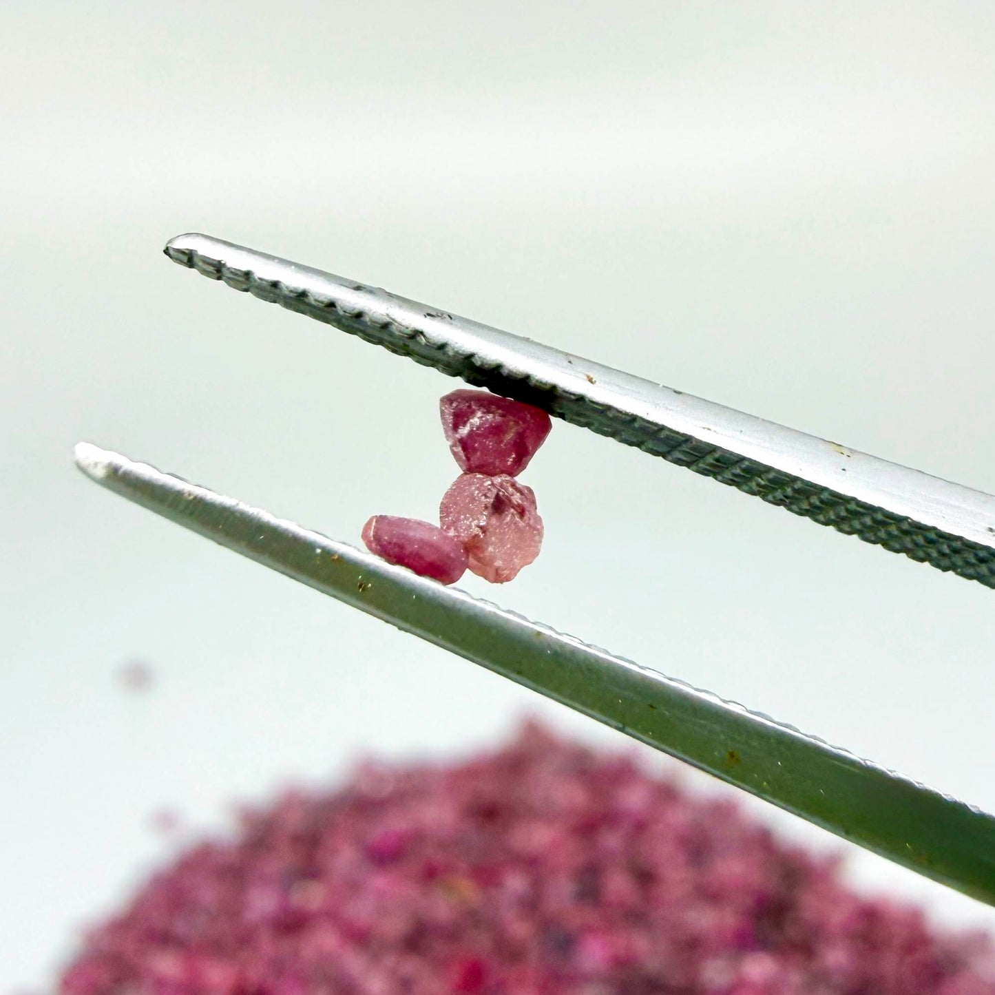 Natural rough uncut Ruby gemstones, ethically sourced, raw crystals for collectors and jewelry making.