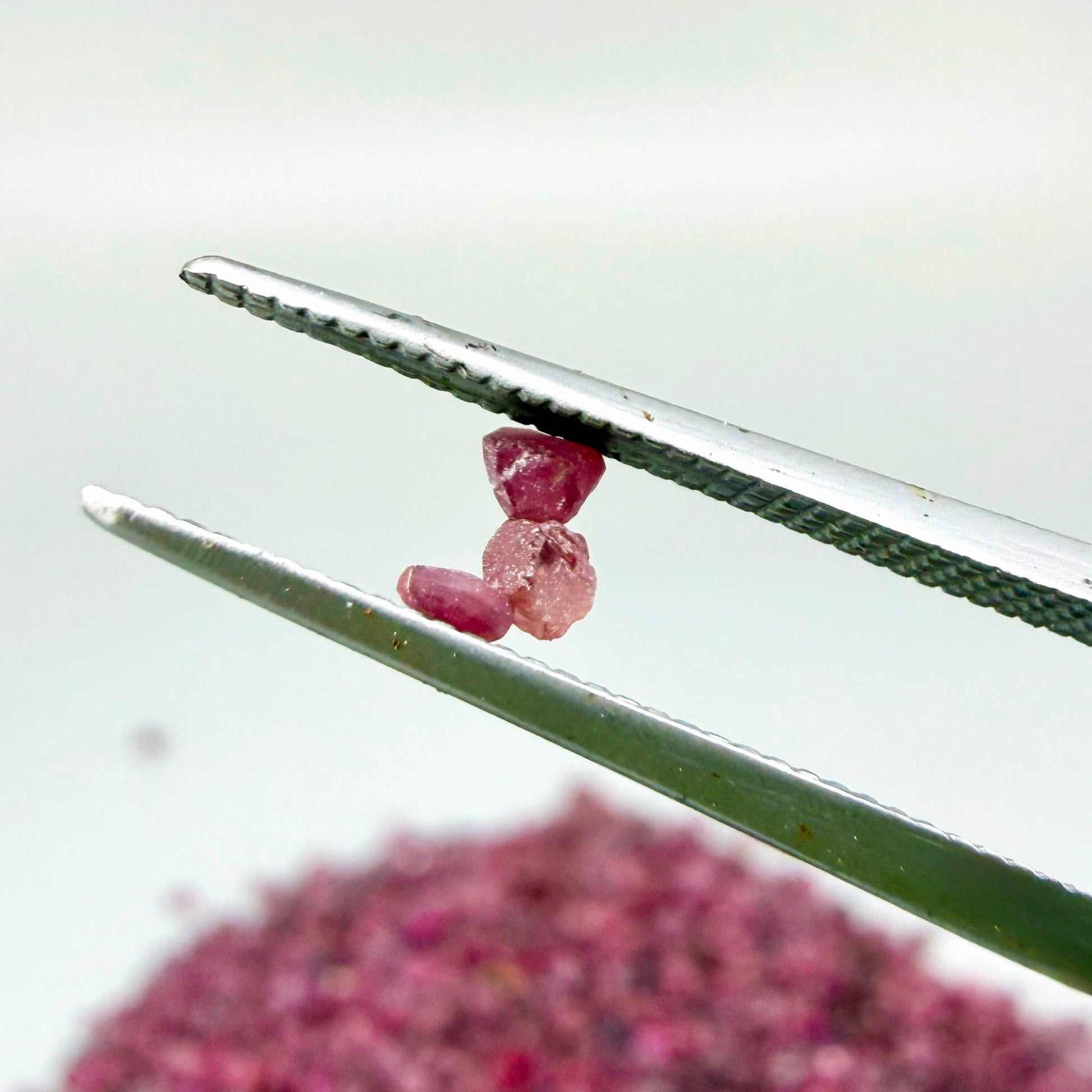 Natural rough uncut Ruby gemstones, ethically sourced, raw crystals for collectors and jewelry making.