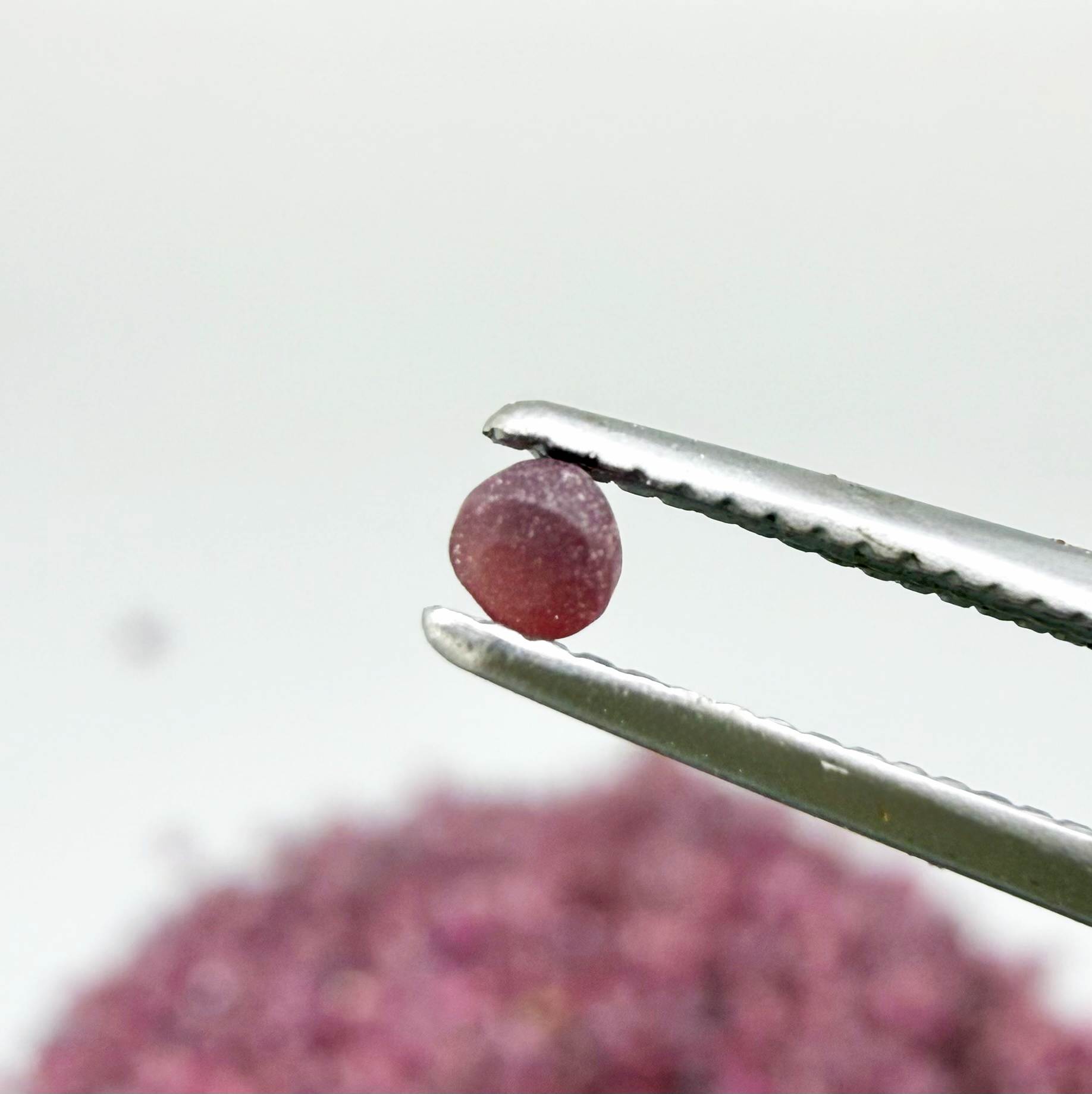 Natural rough uncut Ruby gemstones, ethically sourced, raw crystals for collectors and jewelry making.