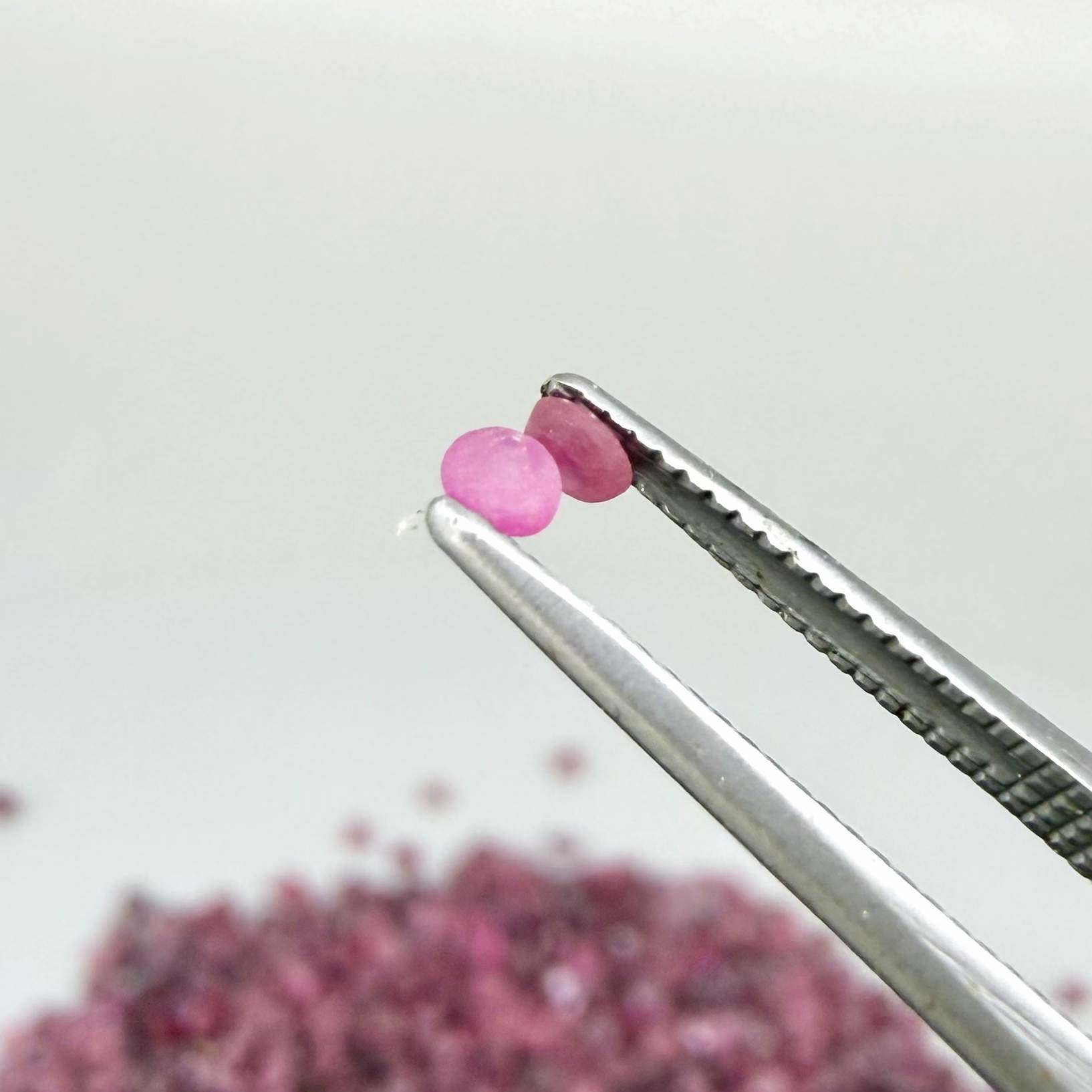 Natural rough uncut Ruby gemstones, ethically sourced, raw crystals for collectors and jewelry making.