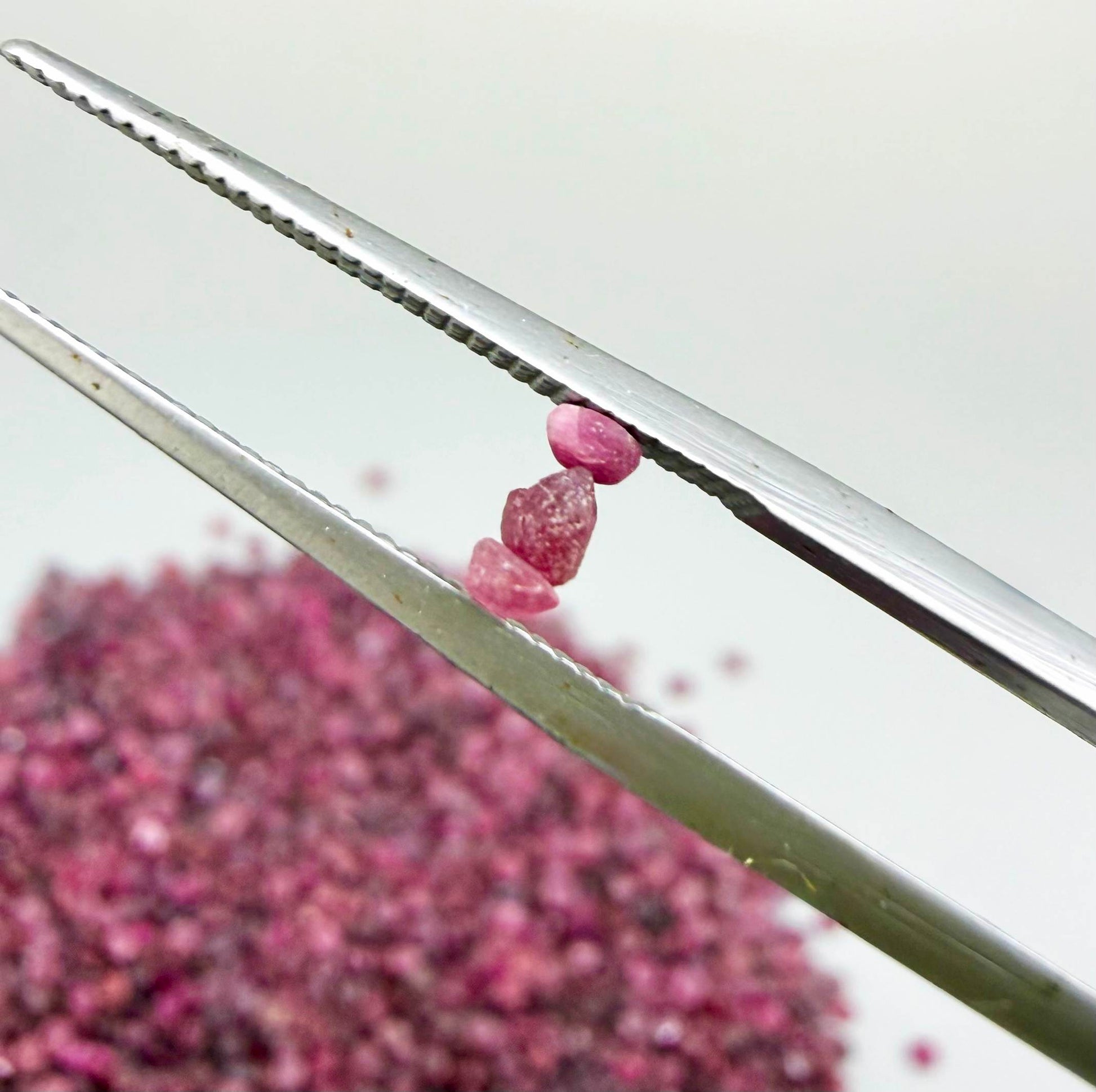 Natural rough uncut Ruby gemstones, ethically sourced, raw crystals for collectors and jewelry making.