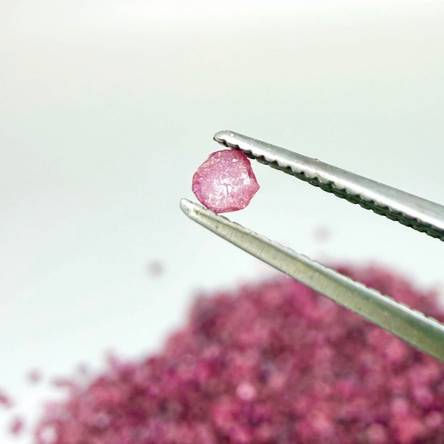 Natural rough uncut Ruby gemstones, ethically sourced, raw crystals for collectors and jewelry making.