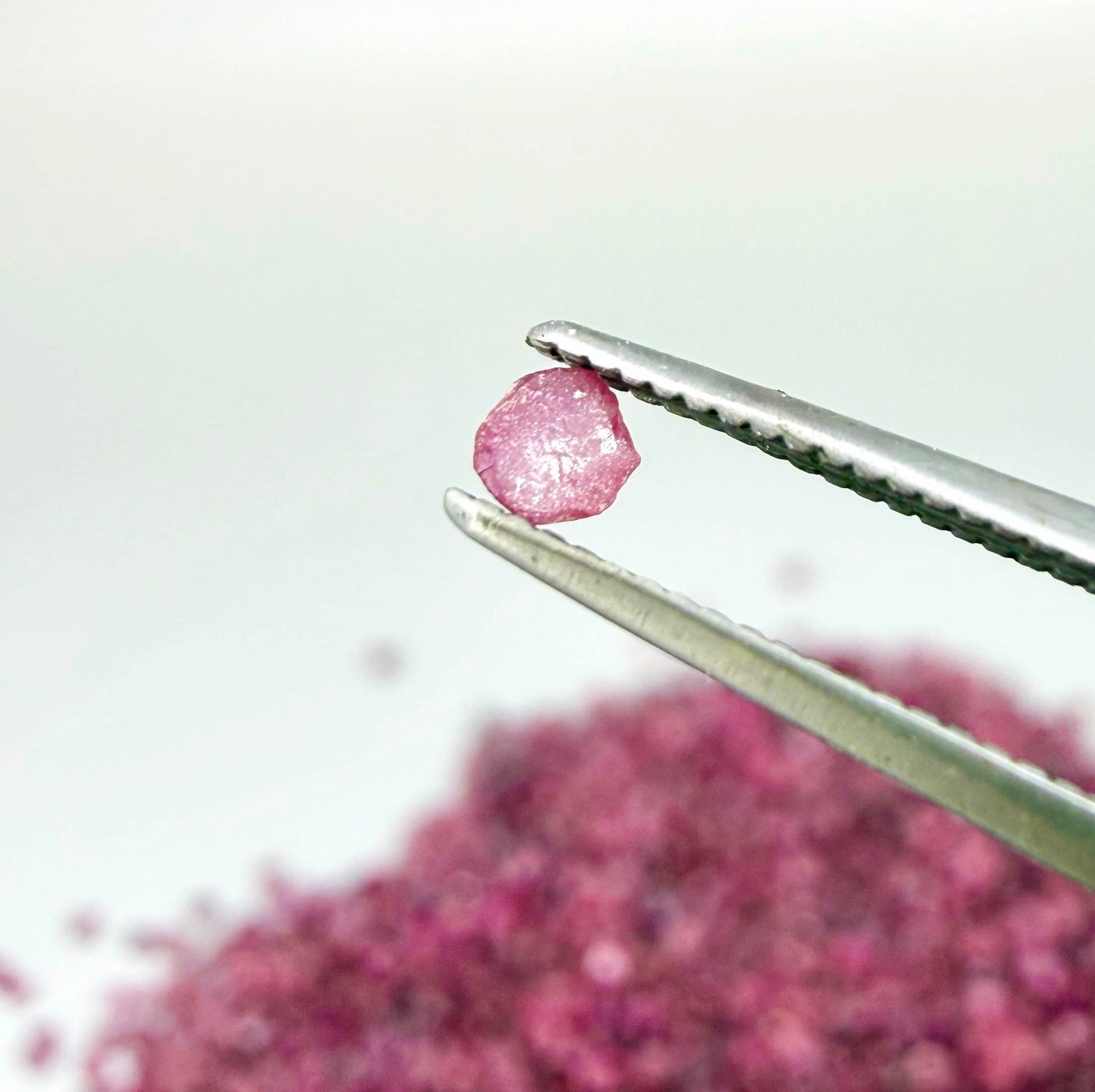 Natural rough uncut Ruby gemstones, ethically sourced, raw crystals for collectors and jewelry making.