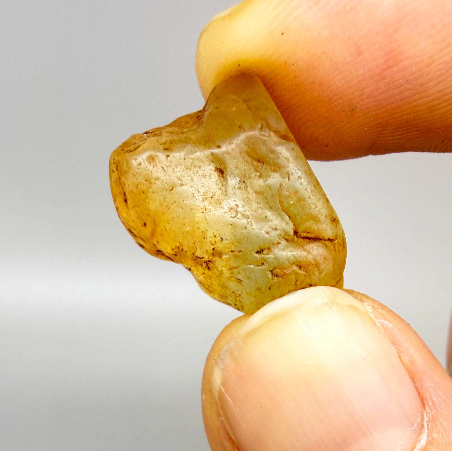 Natural champagne-gold topaz rough with warm golden tones, uncut and untreated, photographed on neutral background.